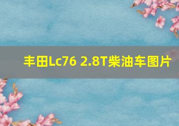 丰田Lc76 2.8T柴油车图片